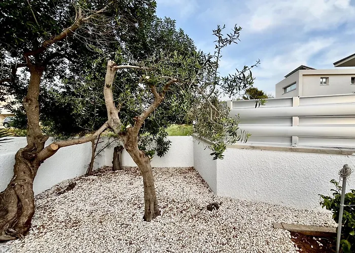 Nissi Chrysland * Ajia Napa