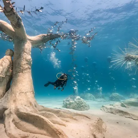 Nissi Chrysland Διαμέρισμα Αγία Νάπα